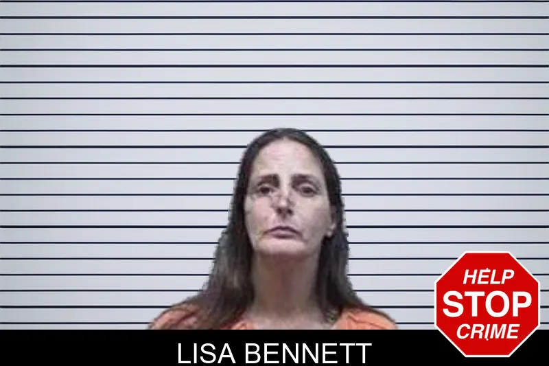 Lisa Bennett mugshot