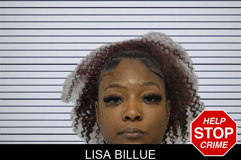 Lisa Billue mugshot