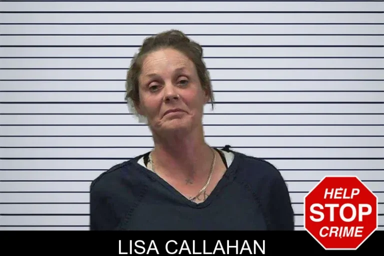 Lisa Callahan mugshot – Gilmer County , Georgia Lisa Callahan