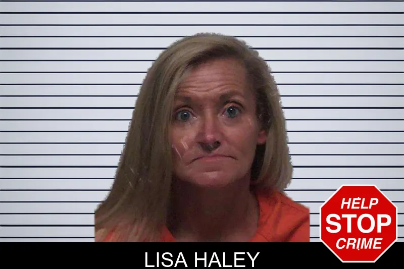 Lisa Haley mugshot