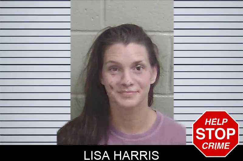 Lisa Harris mugshot – Wayne County , Georgia Lisa Harris mugshot