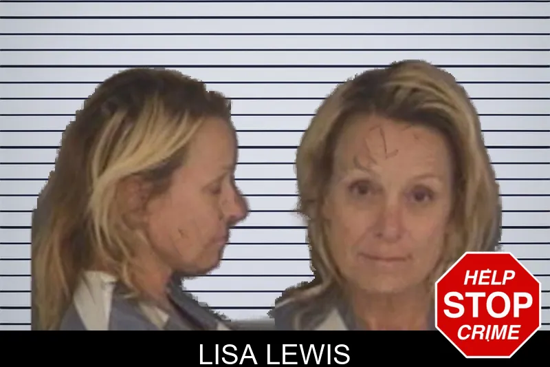 Lisa Lewis mugshot