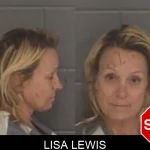 Lisa Lewis mugshot