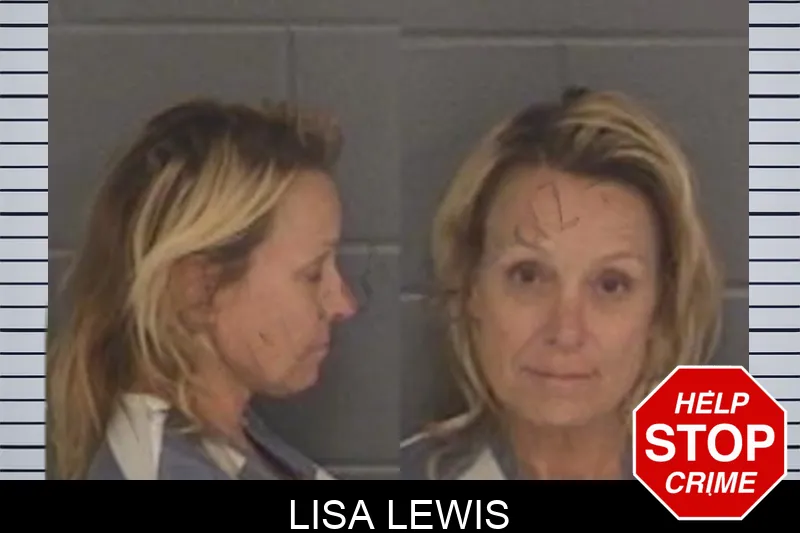 Lisa Lewis mugshot