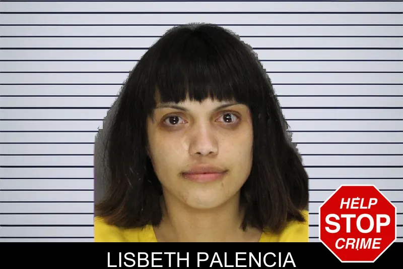 Lisbeth Palencia mugshot