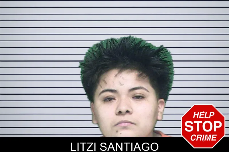Litzi Santiago mugshot – Appling County , Georgia Litzi Santiago mugshot