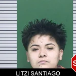 Litzi Santiago mugshot