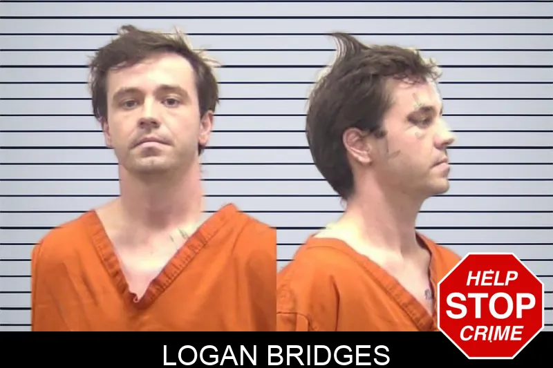 Logan Bridges mugshot