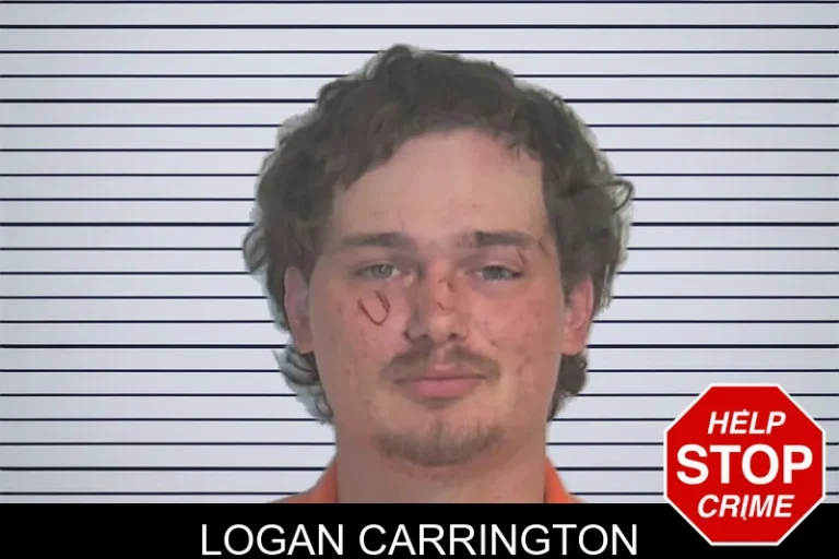 Logan Carrington mugshot – Berrien County , Georgia Logan Carrington