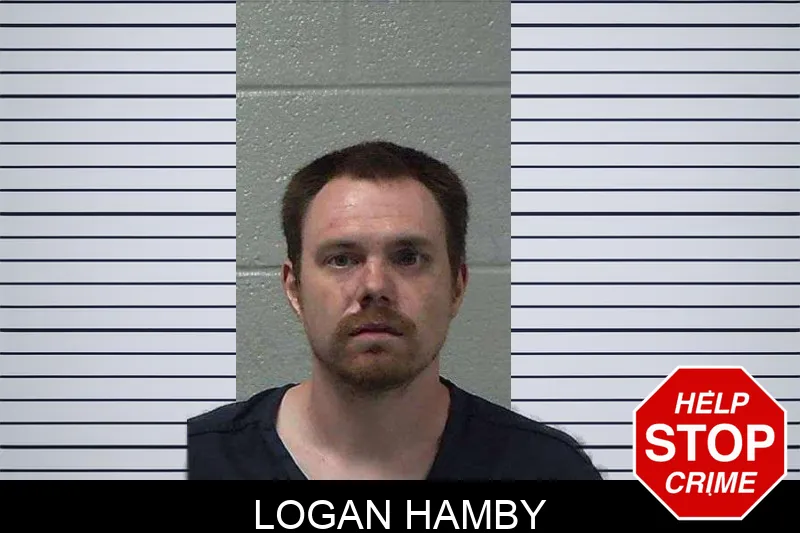 Logan Hamby mugshot – Gilmer County , Georgia Logan Hamby mugshot