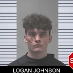 Logan Johnson mugshot – Coweta County , Georgia Logan Johnson mugshot