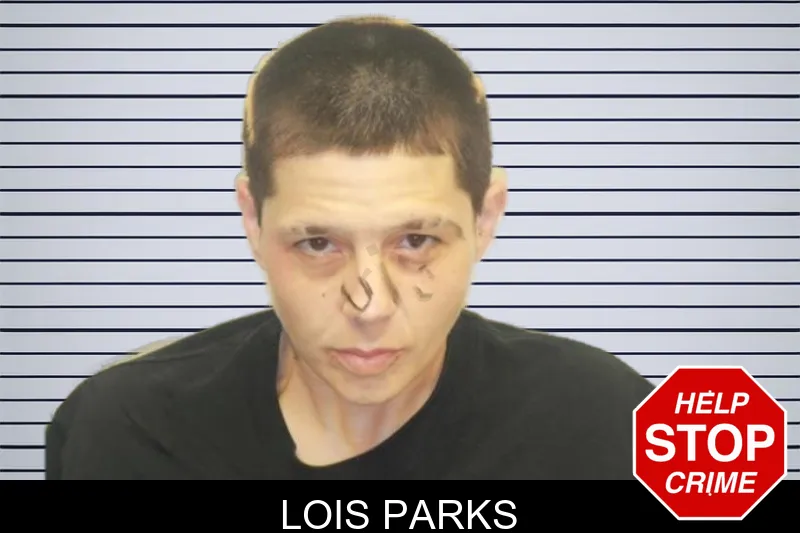 Lois Parks mugshot – Chatham County , Georgia Lois Parks mugshot