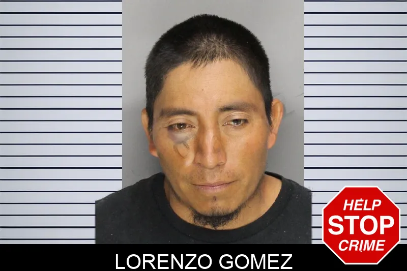 Lorenzo Gomez mugshot
