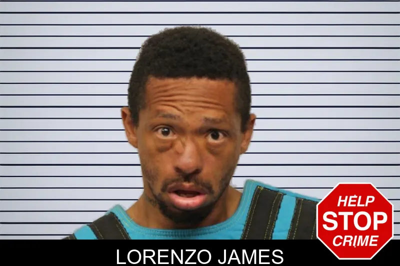 Lorenzo James mugshot – Chatham County , Georgia Lorenzo James mugshot