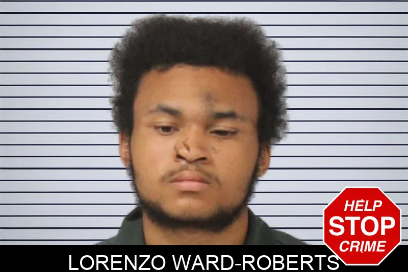 Lorenzo Ward-Roberts mugshot
