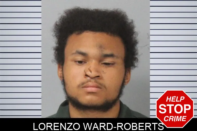 Lorenzo Ward-Roberts mugshot