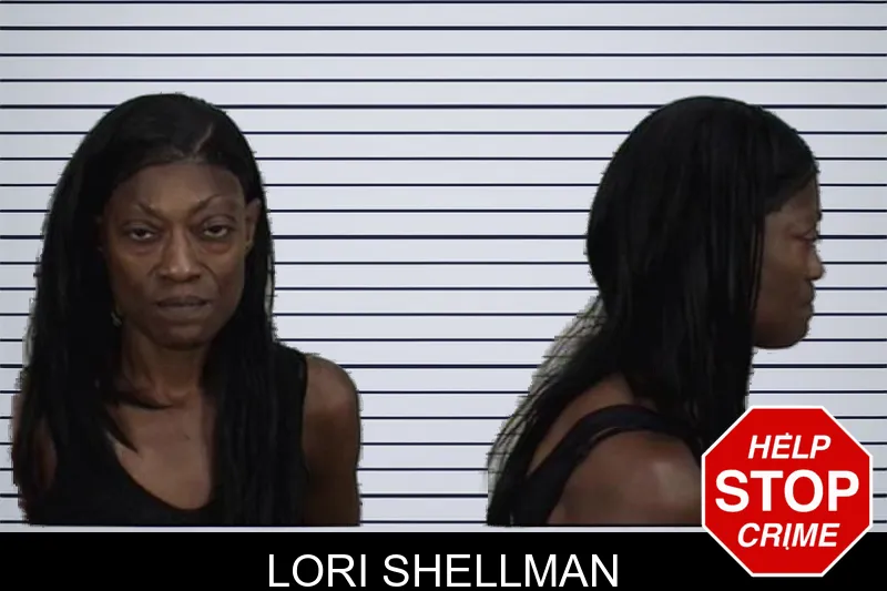 Lori Shellman mugshot – Camden County , Georgia Lori Shellman mugshot