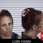 Lori Yawn mugshot – Camden County , Georgia Lori Yawn mugshot