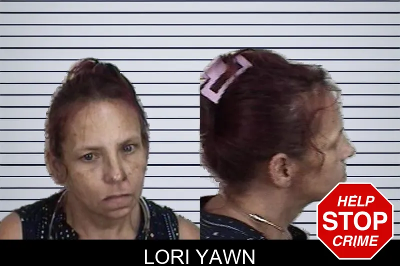 Lori Yawn mugshot