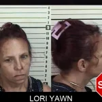 Lori Yawn mugshot – Camden County , Georgia Lori Yawn mugshot