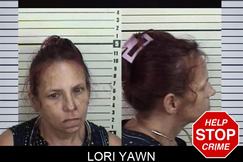 Lori Yawn mugshot – Camden County , Georgia Lori Yawn mugshot