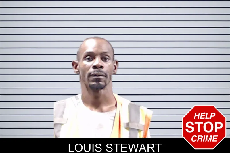 Louis Stewart mugshot