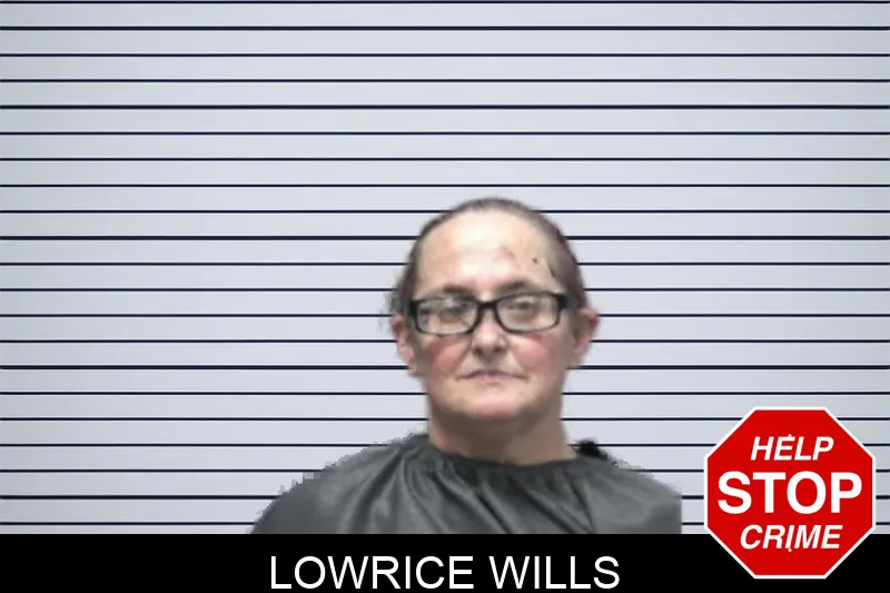 Lowrice Wills mugshot