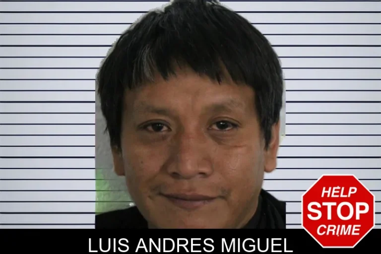 Luis Andres Miguel