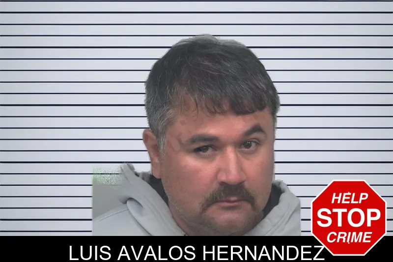 Luis Avalos Hernandez mugshot