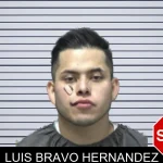Luis Bravo Hernandez mugshot