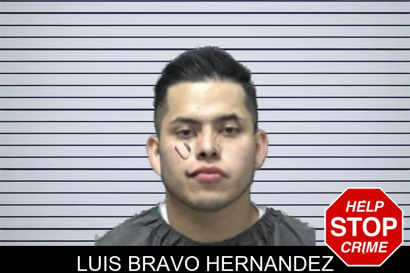 Luis Bravo Hernandez mugshot