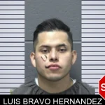 Luis Bravo Hernandez mugshot