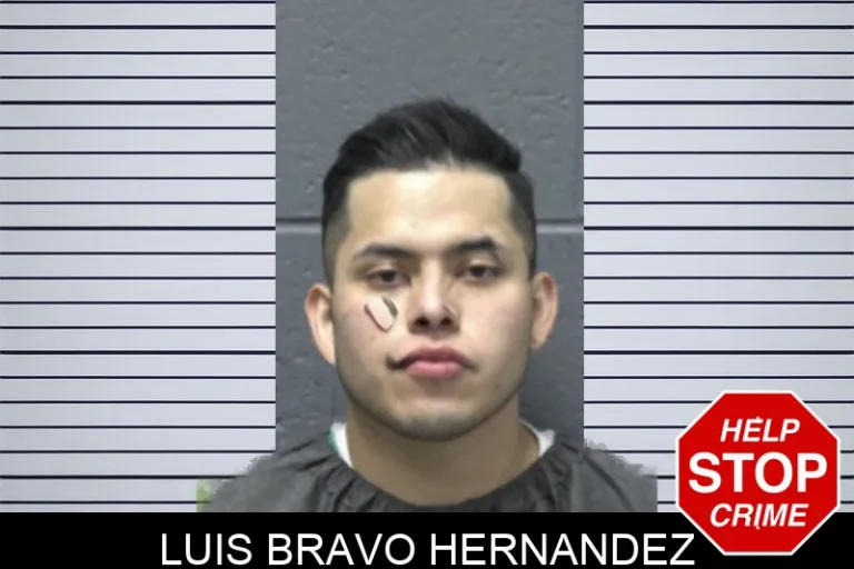 Luis Bravo Hernandez