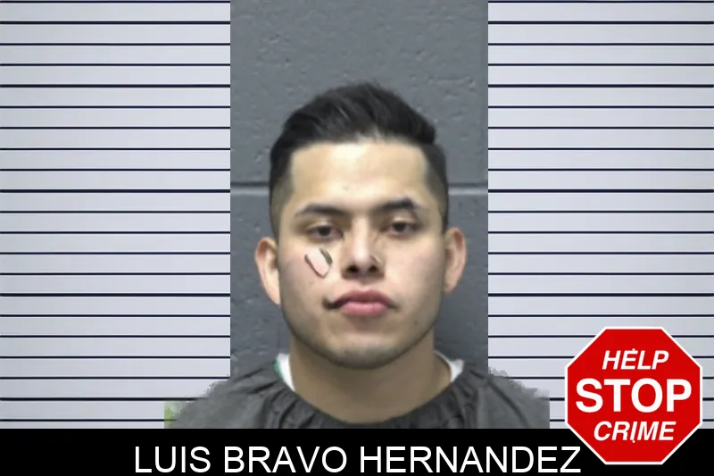 Luis Bravo Hernandez mugshot