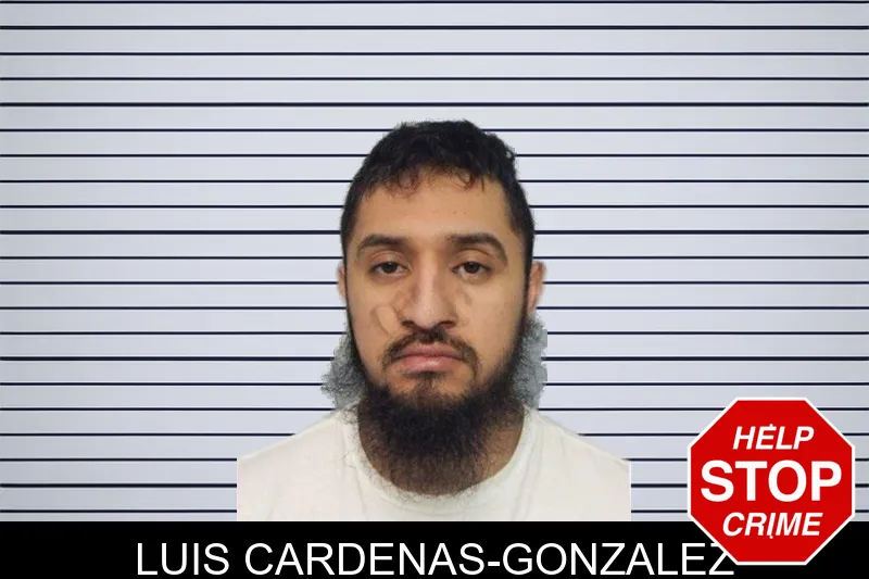 Luis Cardenas-Gonzalez mugshot