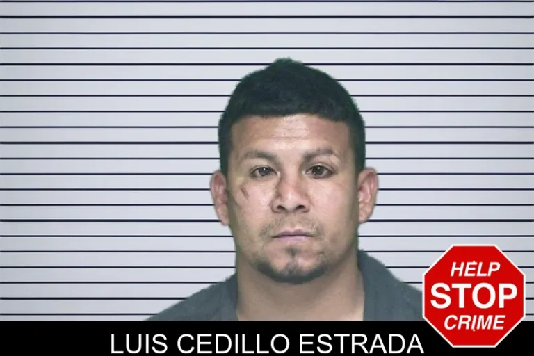Luis Cedillo Estrada mugshot – Appling County , Georgia Luis Cedillo Estrada