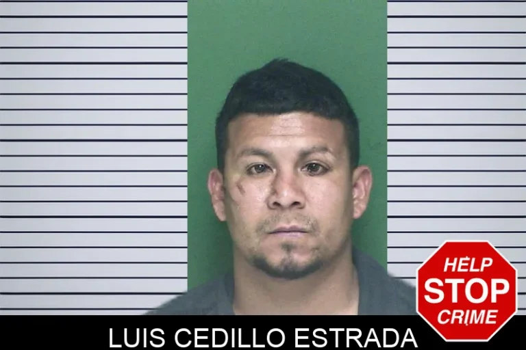 Luis Cedillo Estrada