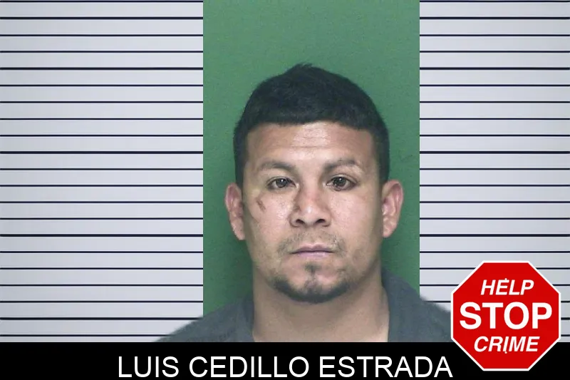 Luis Cedillo Estrada mugshot
