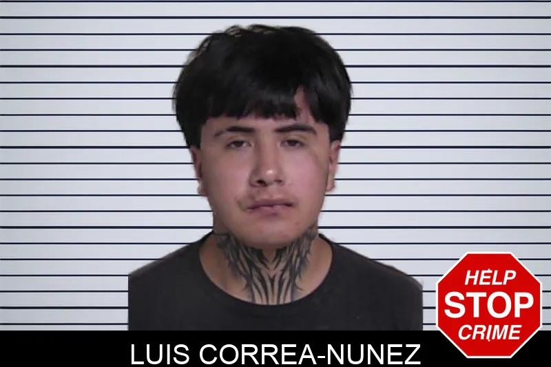 Luis Correa-Nunez mugshot