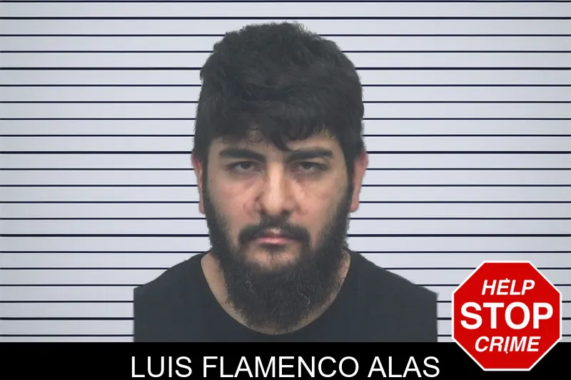 Luis Flamenco Alas mugshot