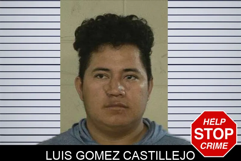 Luis Gomez Castillejo mugshot – Liberty County , Georgia Luis Gomez Castillejo mugshot