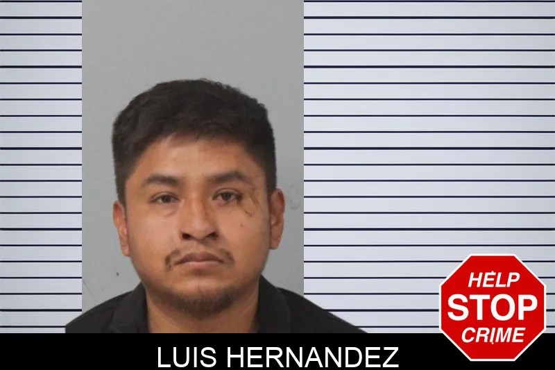Luis Hernandez mugshot – Mcintosh County , Georgia Luis Hernandez mugshot