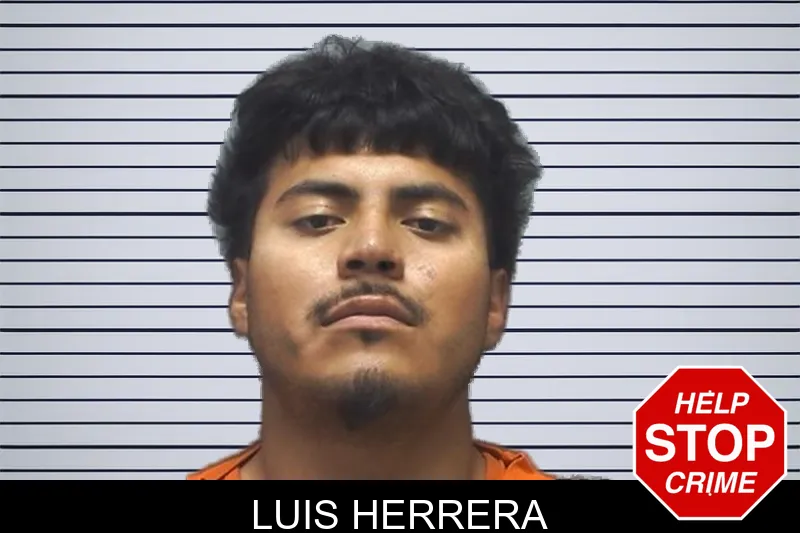 Luis Herrera mugshot – Cherokee County , Georgia Luis Herrera mugshot