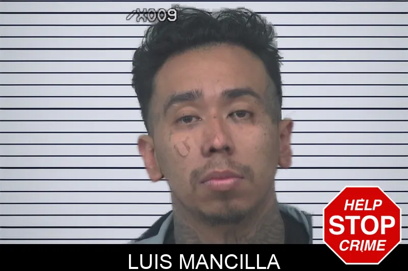 Luis Mancilla mugshot