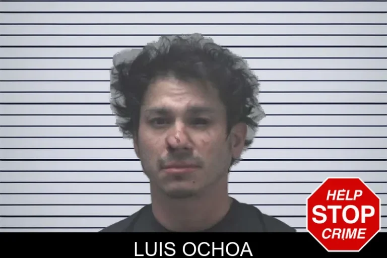 Luis Ochoa