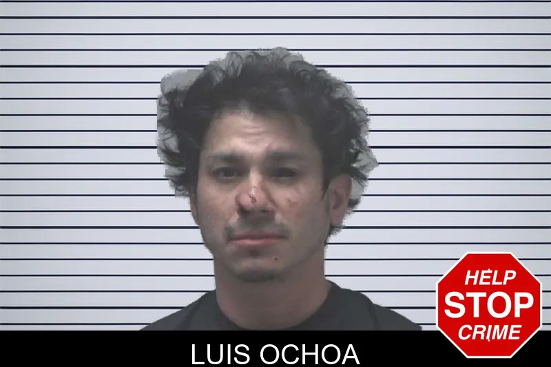 Luis Ochoa mugshot