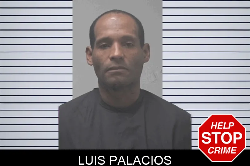 Luis Palacios mugshot