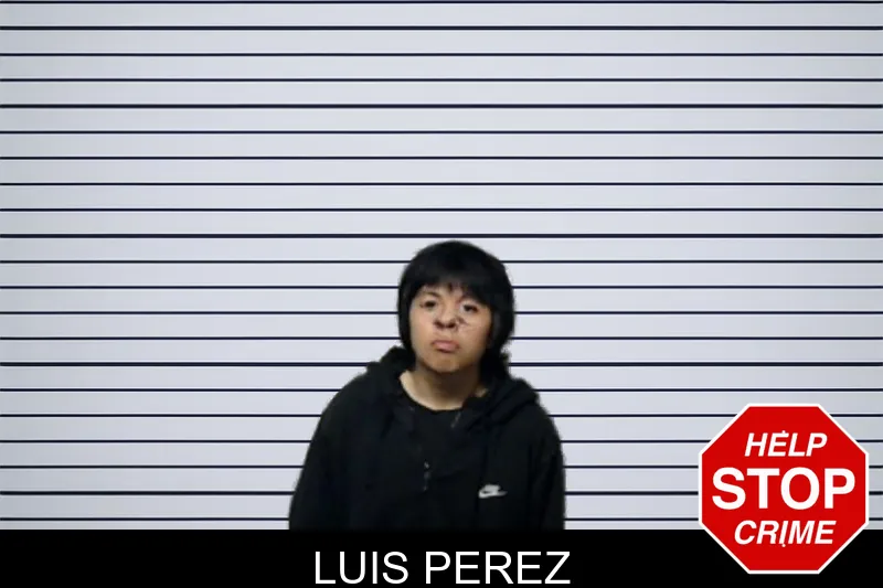 Luis Perez mugshot