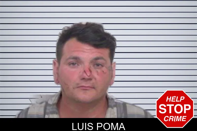 Luis Poma mugshot