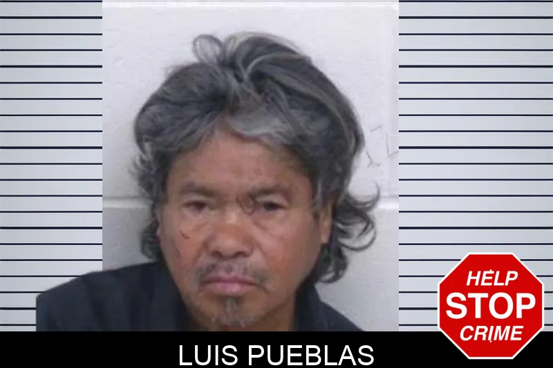 Luis Pueblas mugshot – Washington County , Georgia Luis Pueblas mugshot